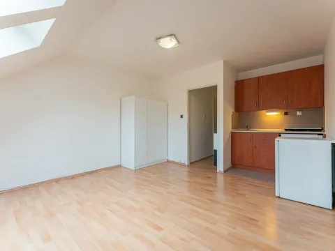 Pronájem bytu 1+kk, Praha - Smíchov, Holečkova, 26 m2