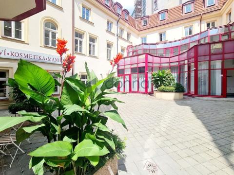 Pronájem obchodního prostoru, Praha - Nové Město, Myslíkova, 424 m2