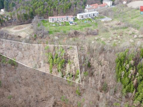 Prodej lesa, Bojanovice - Senešnice, 7378 m2