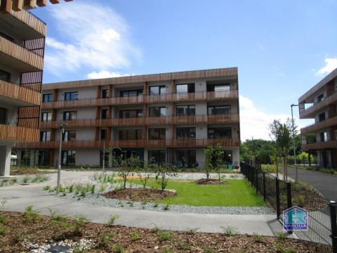 Pronájem bytu 1+kk, Plzeň - Východní Předměstí, Kartónová, 25 m2