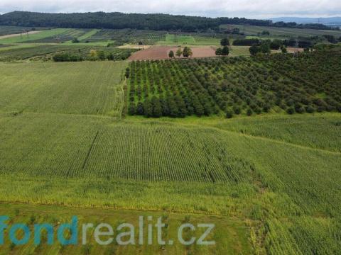 Prodej zemědělské půdy, Malovice - Krtely, 4926 m2