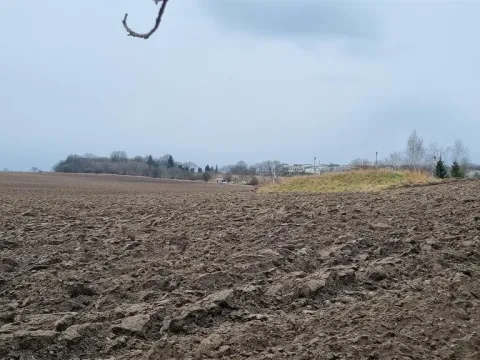 Prodej zemědělské půdy, Číčovice, 14648 m2