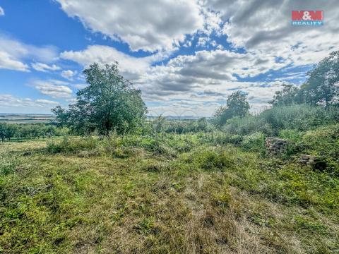 Prodej zahrady, Třebenice, 3500 m2