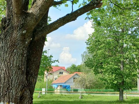 Prodej rodinného domu, Dolní Rožínka, 201 m2