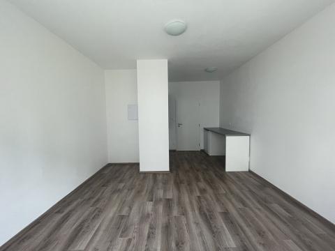 Pronájem bytu 1+kk, Plzeň - Východní Předměstí, Papírnická, 28 m2