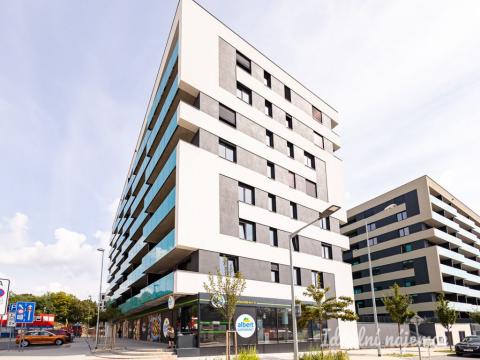 Pronájem bytu 2+kk, Praha - Žižkov, Olgy Havlové, 46 m2