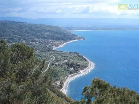 Prodej pozemku pro komerční výstavbu, 7000 m2