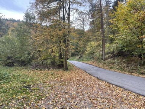 Prodej lesa, Svatý Jan nad Malší - Chlum, 11633 m2