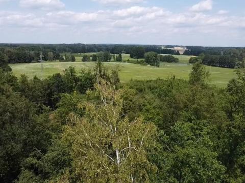 Prodej pozemku pro bydlení, Chlum u Třeboně - Žíteč, 20000 m2