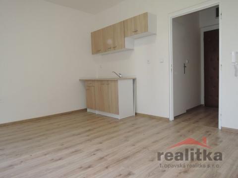 Pronájem bytu 1+kk, Opava - Předměstí, Slámova, 22 m2