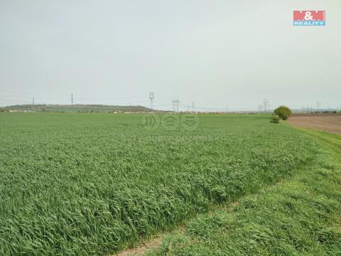 Prodej zemědělské půdy, Újezd u Brna, 7926 m2