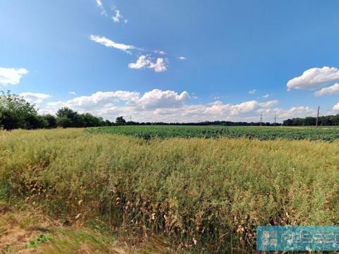 Prodej zemědělské půdy, Ořechov, 500 m2