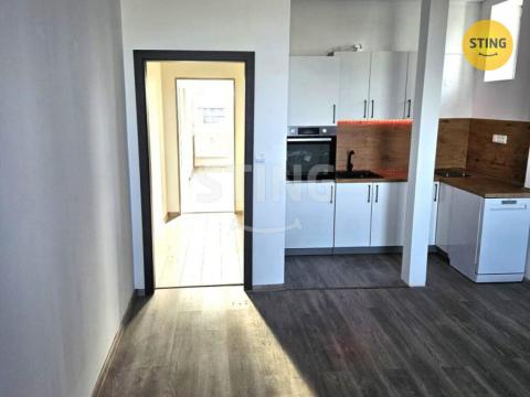 Pronájem bytu 2+kk, Planá nad Lužnicí, Průmyslová, 51 m2