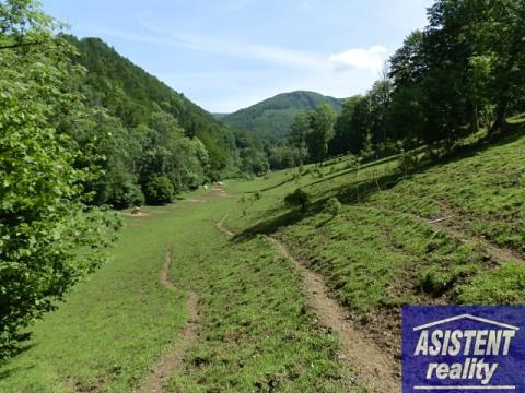 Prodej trvalého travního porostu, Vernířovice, 75965 m2