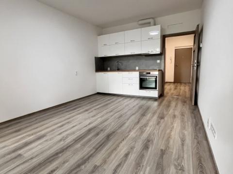 Pronájem bytu 1+kk, Olomouc, Frištenského, 33 m2