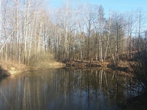 Dražba louky, Nová Ves nad Lužnicí, 10115 m2