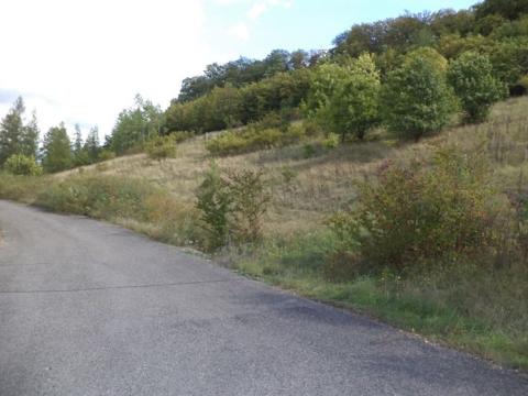 Dražba louky, Řehlovice, 12432 m2