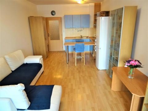 Pronájem bytu 1+kk, Praha - Řeporyje, Wiesenthalova, 35 m2