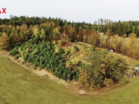 Prodej lesa, Kostelec nad Vltavou, 9437 m2