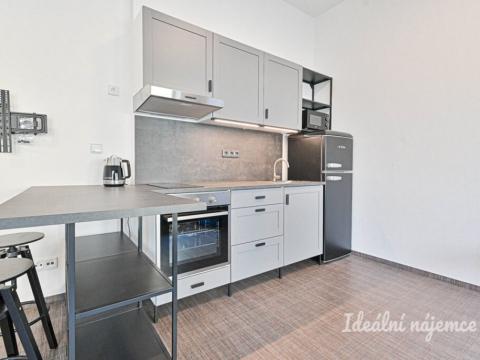 Pronájem bytu 1+kk, Brno, Opuštěná, 35 m2