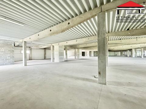 Pronájem obchodního prostoru, Brno - Brněnské Ivanovice, Kaštanová, 700 m2