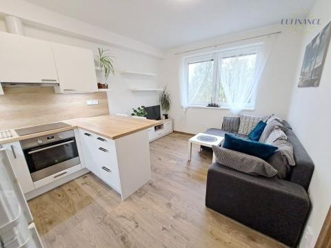 Pronájem bytu 2+kk, Kralupy nad Vltavou - Minice, Souběžná, 48 m2