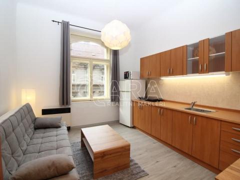 Pronájem bytu 1+kk, Praha - Smíchov, Lidická, 24 m2