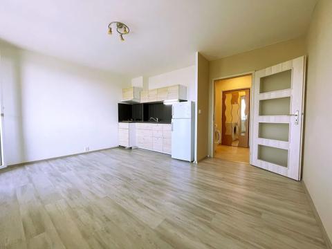 Prodej bytu 1+kk, Praha - Kamýk, Imrychova, 35 m2