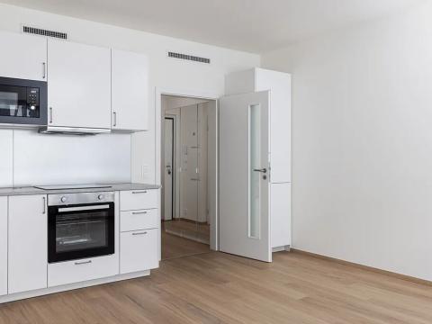 Pronájem bytu 1+kk, Praha - Hloubětín, Laponská, 32 m2