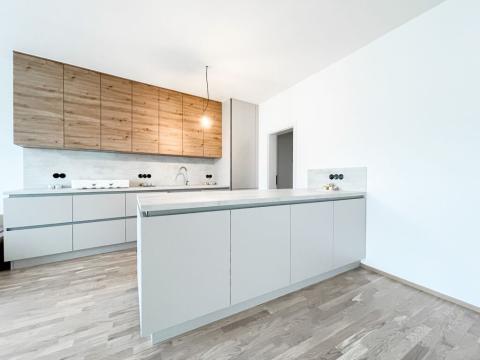 Pronájem bytu 4+kk, Praha - Karlín, Breitfeldova, 132 m2