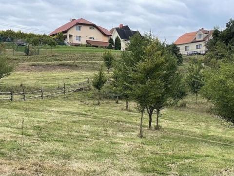 Prodej pozemku pro bydlení, Blansko - Klepačov, 14210 m2