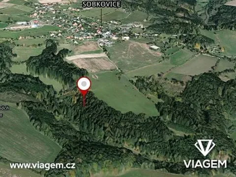 Prodej podílu lesa, Sobkovice, 3260 m2