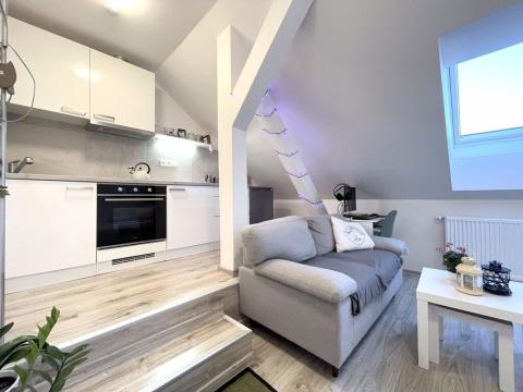 Pronájem bytu 1+kk, Olomouc, Pavlovická, 29 m2