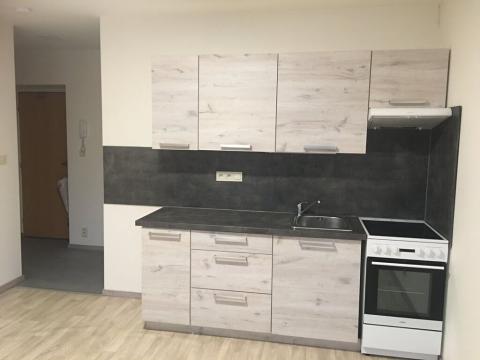 Pronájem bytu 1+kk, Opava, Rybářská, 29 m2