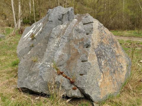 Prodej pozemku, Chodová Planá, 19816 m2