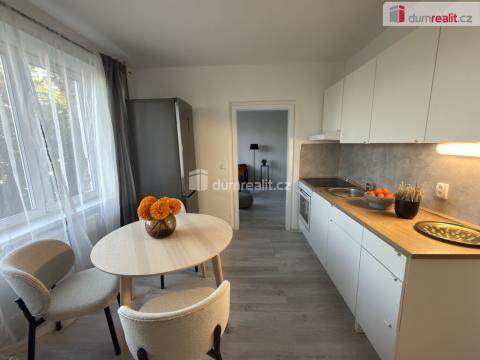 Pronájem bytu 2+kk, Ústí nad Labem - Střekov, Purkyňova, 36 m2