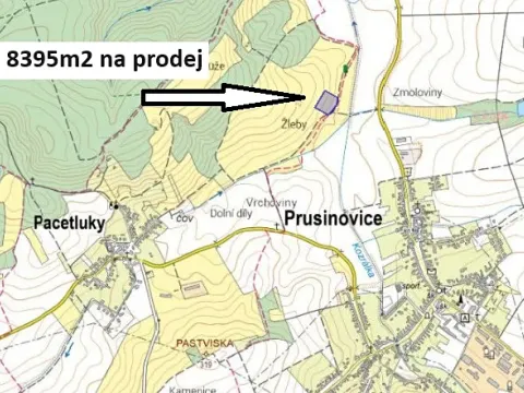 Prodej louky, Prusinovice, 8395 m2