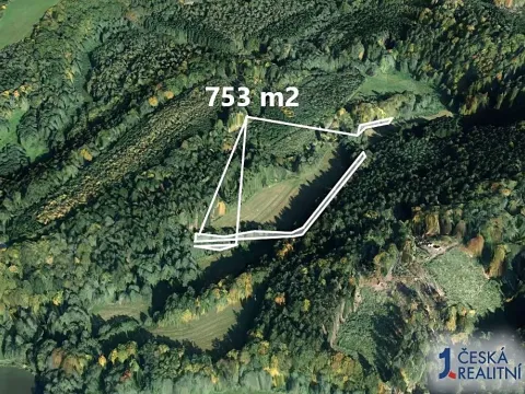 Prodej lesa, Třebovice, 753 m2