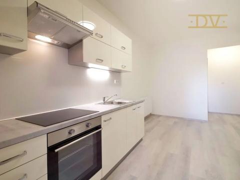 Pronájem bytu 3+kk, Plzeň, Doudlevecká, 46 m2