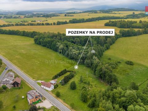 Prodej louky, Dětřichov, 4178 m2