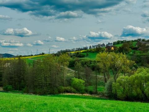 Prodej pozemku pro bydlení, Trubská, 1536 m2