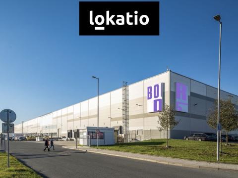 Pronájem skladu, Bor, 3500 m2