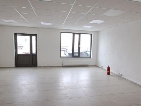 Pronájem obchodního prostoru, Plzeň, Železniční, 5442 m2