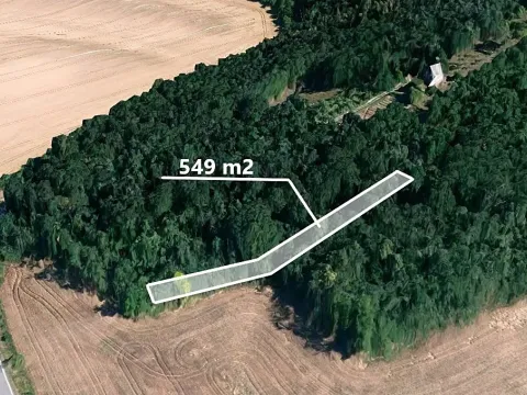 Prodej lesa, Silůvky, 549 m2