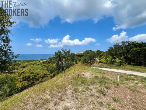 Prodej pozemku, Roatan, José Santos Guardiola, Honduras, 740 m2