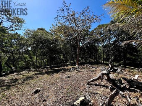 Prodej pozemku, Jonesville, José Santos Guardiola, Honduras, 2400 m2