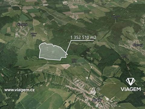 Prodej podílu lesa, Korytná, 41863 m2
