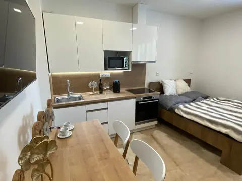 Pronájem bytu 1+kk, Zlín, Štefánikova, 30 m2