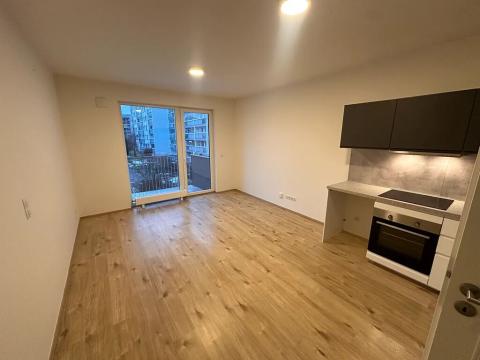 Pronájem bytu 1+kk, Praha - Háje, Jurkovičova, 30 m2