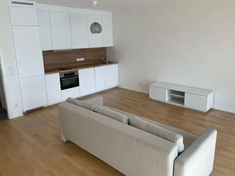 Pronájem bytu 1+kk, Praha - Žižkov, Seifertova, 40 m2